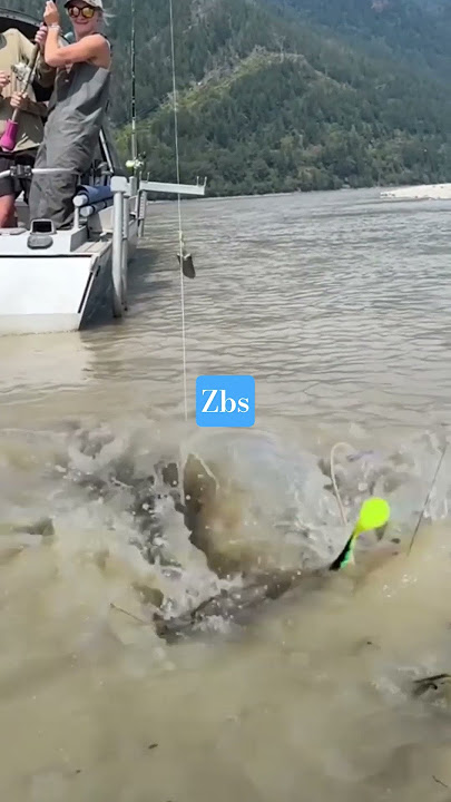!! Giant catfish strike #fishing #sturgeon #short #funny