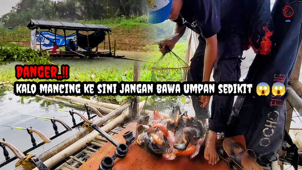 Pesta strike siang malam di bikin panen ikan mancing di spot ini || Mancing Cirata Terbaru