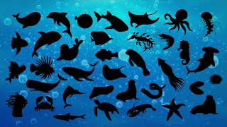 Adivinhe a Sombra dos Animais Marinhos 🐋 | Jogo Educativo Infantil screenshot 4