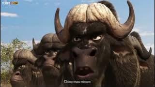 Film Animals United Sub Indo