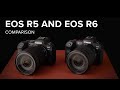 Canon EOS R5 vs EOS R6 | Comparison Review