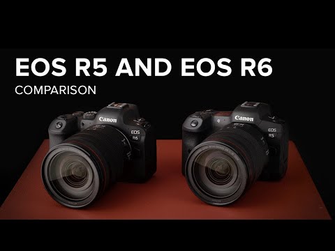 Canon EOS R5 vs EOS R6 | Comparison Review