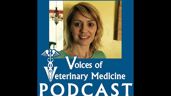 Dr. Kerry Kraemer talks about being a relief veter...