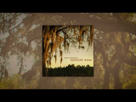 Cole Swindell - Left To Get Right (Audio)