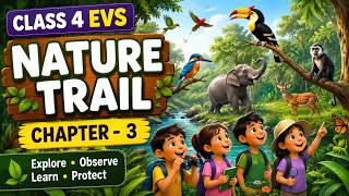 Nature Trail Class 4 EVS Chapter 3 | NCERT Full Chapter Explanation for Kids