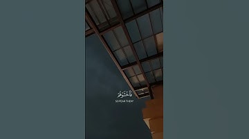 ويدع الإنسان بالشر دعاءه بالخير ||#ياسر_الدوسري سورة الإسراء