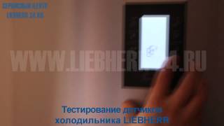 Ремонт холодильников Liebherr(Ремонт холодильников Liebherr в сервисном центре Liebherr24.ru., 2015-05-29T08:42:57.000Z)