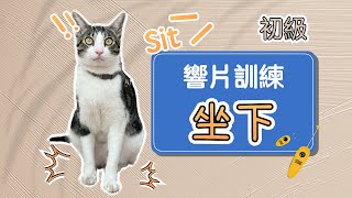 教會貓咪「坐下」真的非常簡單喔用聲音用手勢都行超簡單的響片訓練方法大公開⚠一起來讓貓咪更懂得與你開心互動吧❤