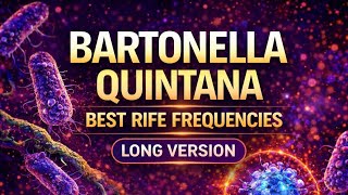 Lyme Co-infection: Bartonella Quintana (Trench Fever, Shinbone Fever, Endocarditis)
