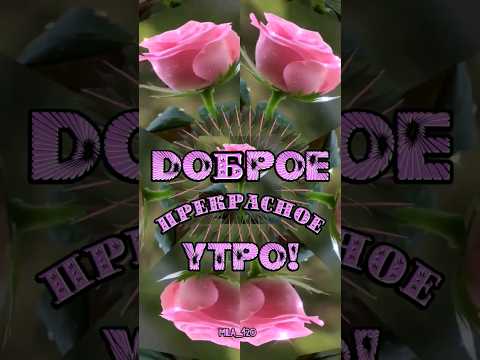 #доброеутречкохорошегодня #доброеутро #сдобрымутром #сдобрымутромоткрыткимузыкальные #сдобрымутром