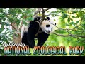 National Zoo | WASHINGTON, D.C.