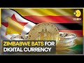 Zimbabwe plans gold-backed digital currency | World Business Watch | WION News
