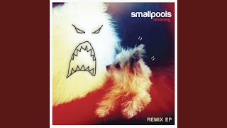 Dreaming (The Chainsmokers Remix) - Smallpools