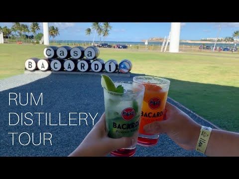 Video: Tour the Bacardi Distillery sa Puerto Rico