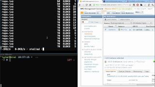 Blimpy: Using the FreeBSD/Puppet Livery