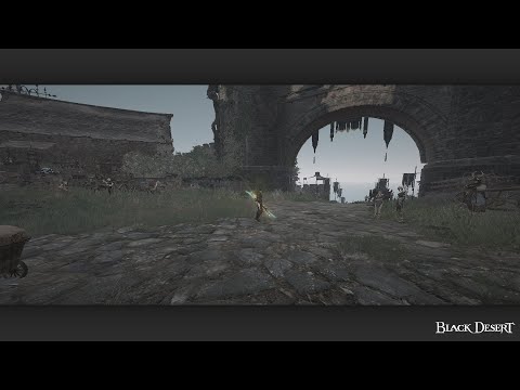 BDO (THxSEA) Hashashin
