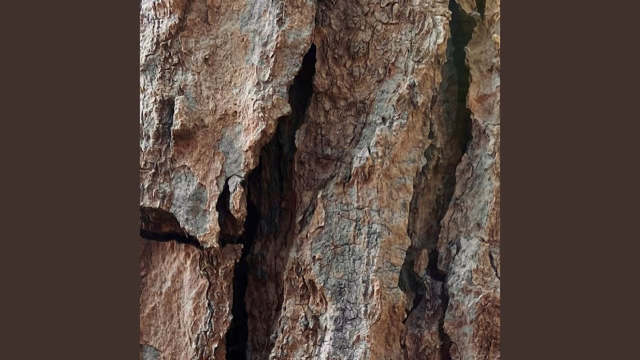 Fabotara Drawing Families That Don’t Fight