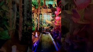 Forest theme at sea shell museum #exhibition #psviews #trendingshorts #viralshort #shopping #fish