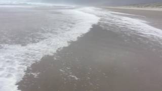 Sea Foam From Oregon