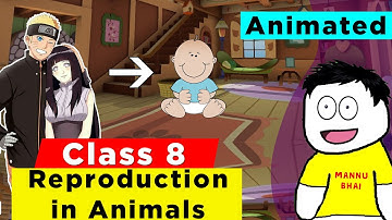 Reproduction in Animals Full Chapter Class 8 Science | NCERT Science Class 8 Chapter 6