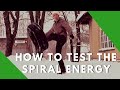 How to test the spiral energy - Kung fu Kadriorg - creative Tai Chi