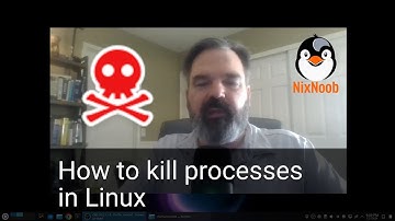 How to kill processes in Linux