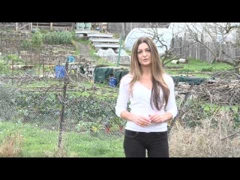 Ceres Catherine Cervasio Aromababy