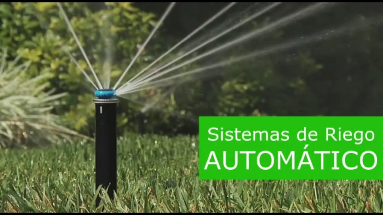 Imagen 33 de servicio