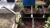 Modified rain gutter grow system part 1