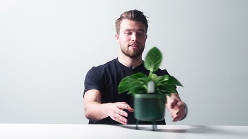 The Xiaomi Mi Flower Care Plant Sensor