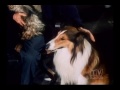Ranger Cory Lassie (Season 13 Eps.22 Never Look Back)