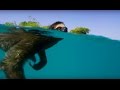 Swimming sloth searches for mate  planet earth ii  bbc earth