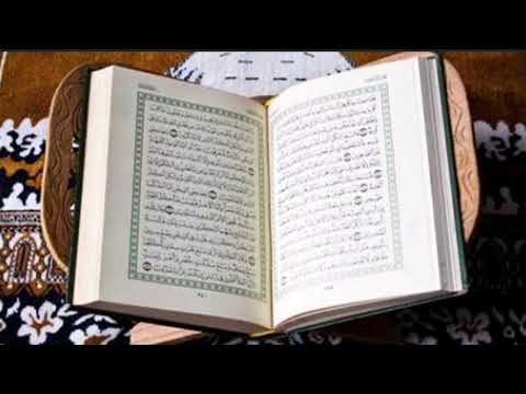 القارئ انس المالك حفظه الله سورة الجاثيه الآيات ٢٧ ٢٨