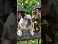 cute dog 🐕 our monkey 🐒.        #ai #dog#monkey #aishorts #aivideo #viral