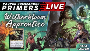 Pauper Commander Primers: WITHERBLOOM APPRENTICE - Grindy Golgari Control