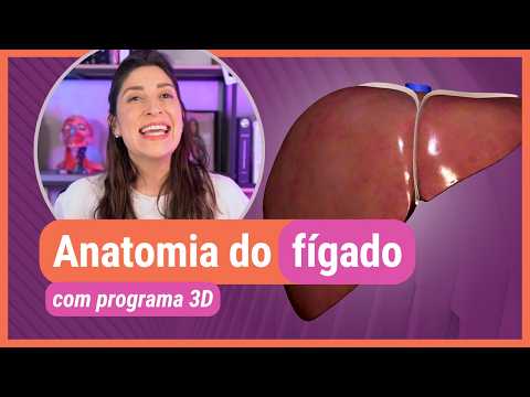 LIVER ANATOMY! With 3D software