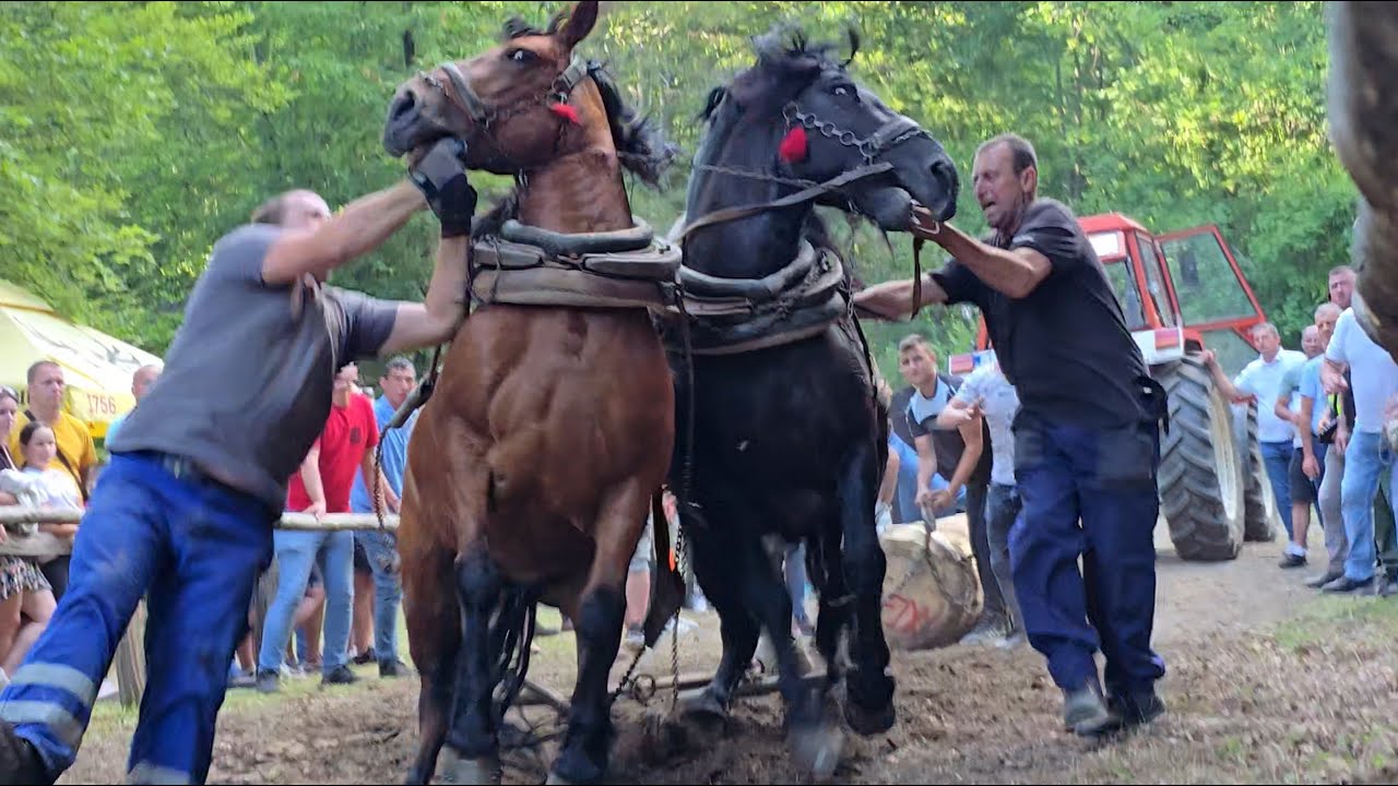 Štraparijada Vrbljani 2025