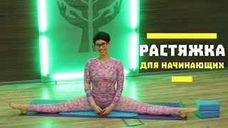Растяжка для начинающих №2 от Натальи Папушой Растяжка для начинающих №2 от Натальи Папушой