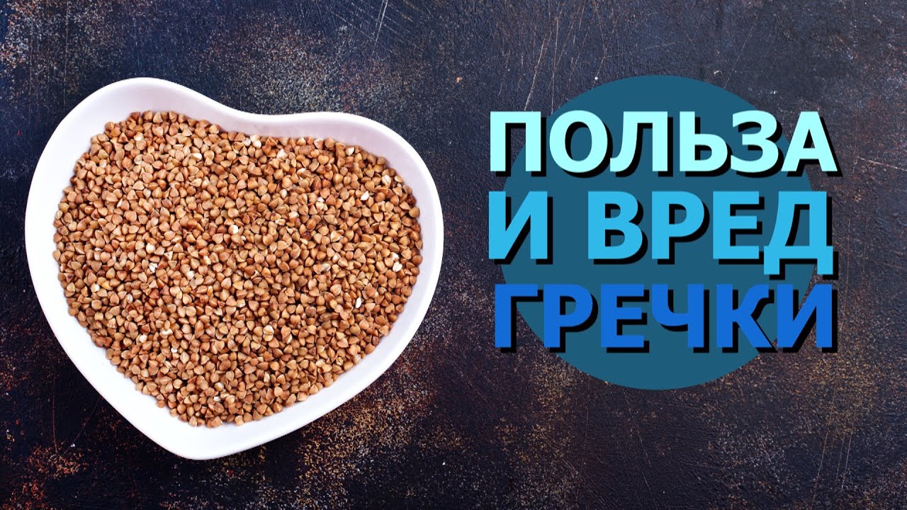 Чем вредна гречка для организма