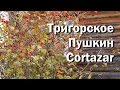 Тригорское Пушкин Cortazar