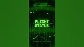 FLIGHT STATUS   Retro CRT green screen glitch text animation