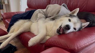 「プピプピ文太」動画投稿終了のお知らせ