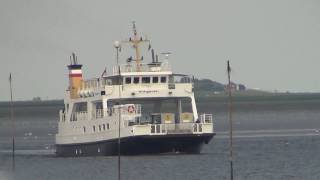Tagesausflug zur Hallig Langeneß (19.07.2016)