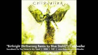 Celldweller - Birthright (Birthwrong Remix by Blue Stahli)