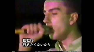 The Specials - 'A Message To You Rudy' live in Japan (1980) #ska #2tone #thespecials #terryhall