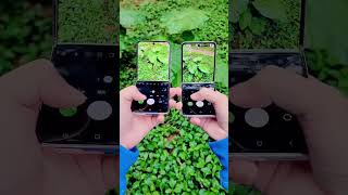 Who Is Sufficient For You  Samsung Galaxy Z Flip 3 Vs Galaxy Z Flip 4 shorts