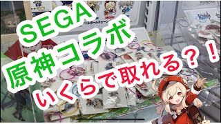 SEGAに原神グッズが盛りだくさん！！！