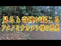 【サムハラ神社奧の宮参拝】見た人は奇跡⭐️神さまに呼ばれ人だけが見ることができる⭐️アメノミナカヌシ様の恩恵(Samhara Shrine Okunomiya Okayama Japan)#95