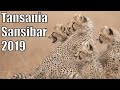 Safari Tansania und Strandurlaub auf Sansibar 2019