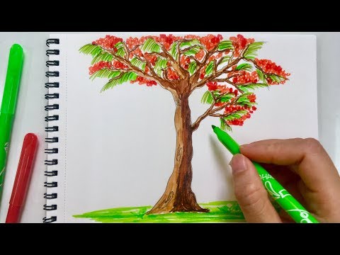 Cùng Bé Vẽ Tranh - Cách Vẽ Tranh Cây Hoa Phượng Mùa Hè - Youtube